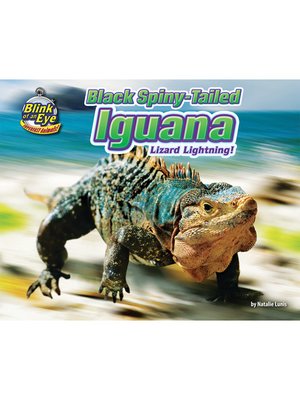 cover image of Black Spiny-Tailed Iguana